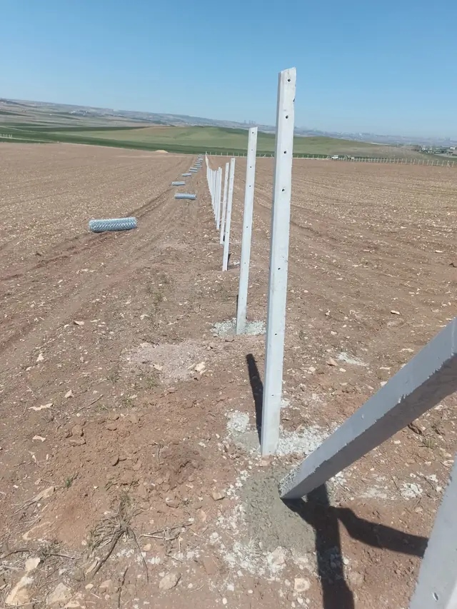 Sürülmüş tarlada yeni dikilmiş beton çit direkleri, tel örgü öncesi direk hattı