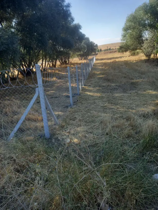 Ağaçlık arazide payandalı beton direklerle kurulan tel örgü çit