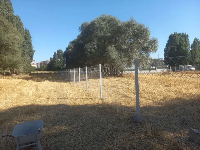 Kuru otlu arsada beton direkli tel örgü çit hattı